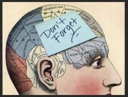 ADHD: Unlocking the Three Key Types of Memory – DIG Coaching Practice